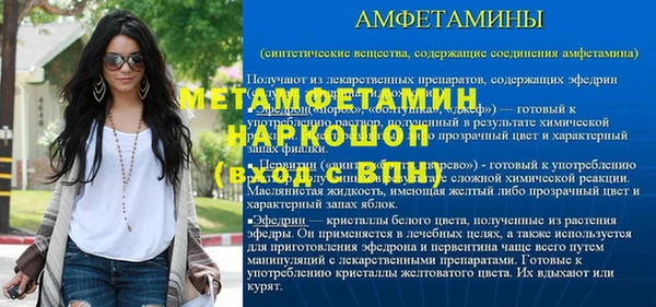 шишки Медвежьегорск