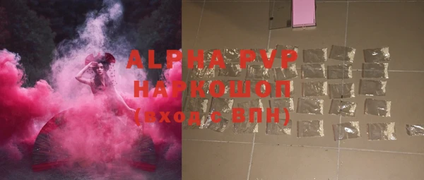 шишки Медвежьегорск