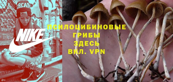 гашик Майский