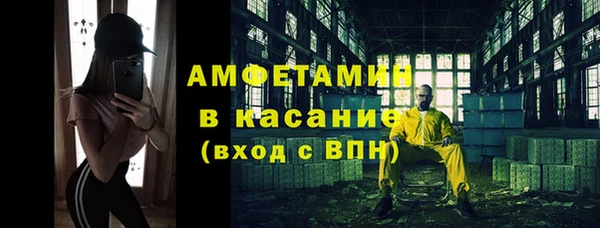шишки Медвежьегорск