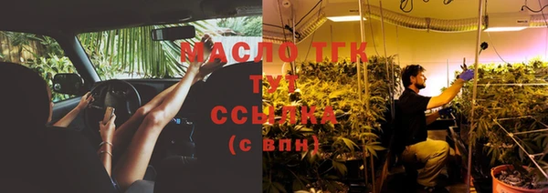 гашик Майский