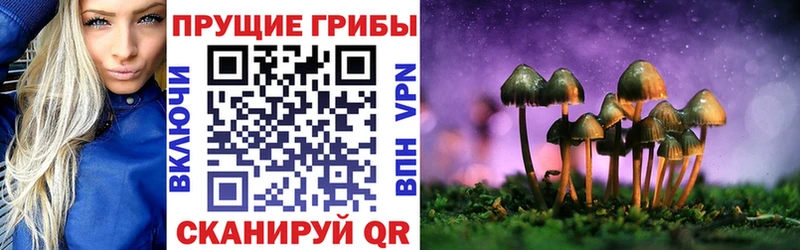 Псилоцибиновые грибы прущие грибы  Купить где  Снежногорск 